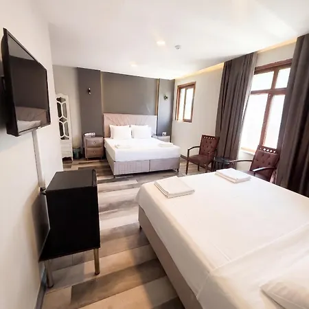 Guler Palace & Roof Bar מלון 3*
