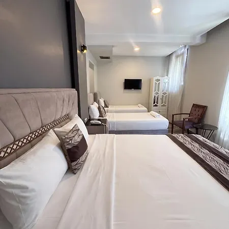 Guler Palace & Roof Bar מלון 3*